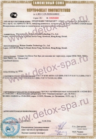 Ion detox